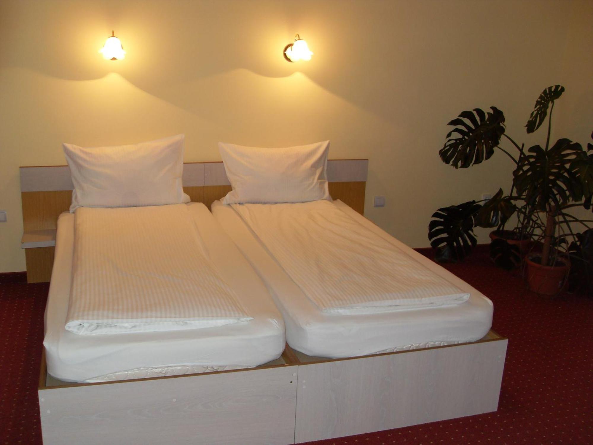 Pensiunea Beverly Hills Băile Felix Extérieur photo