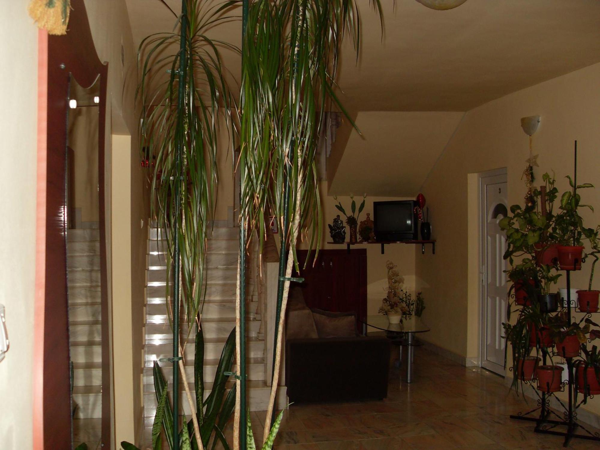 Pensiunea Beverly Hills Băile Felix Extérieur photo