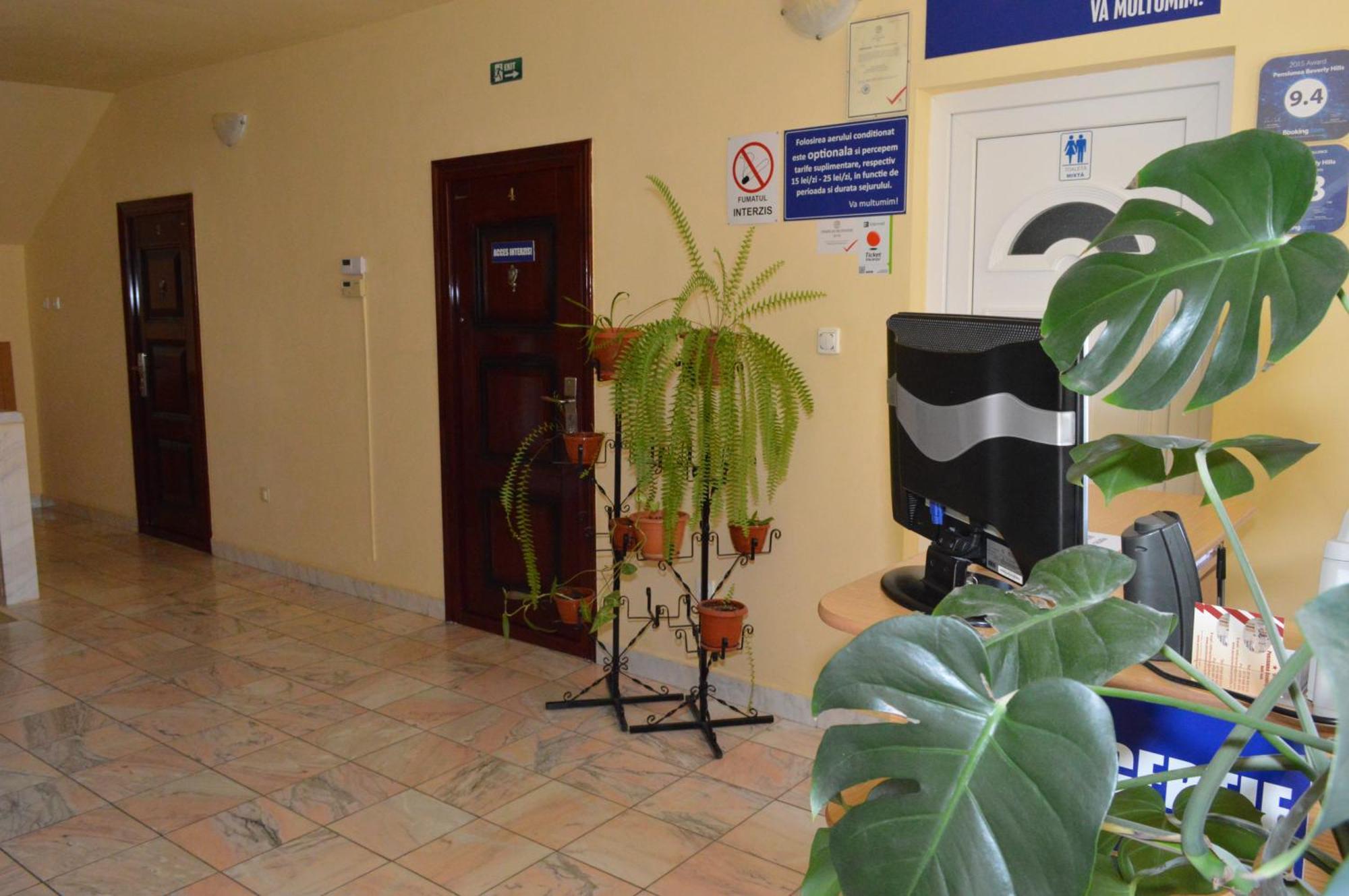 Pensiunea Beverly Hills Băile Felix Extérieur photo