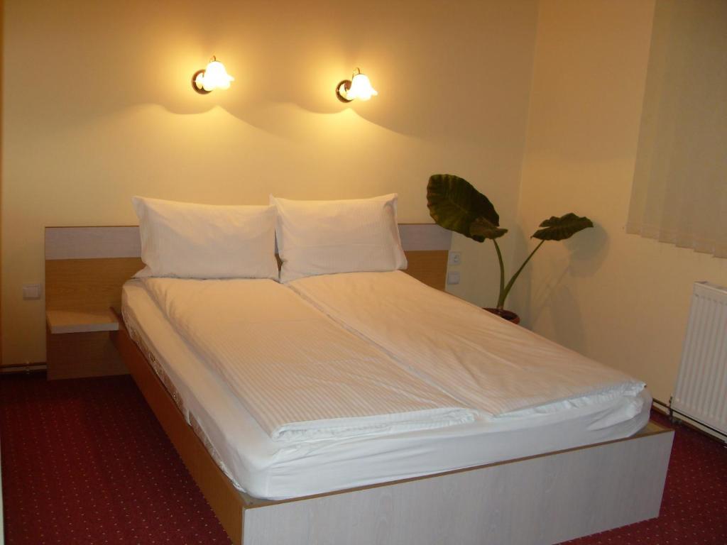 Pensiunea Beverly Hills Băile Felix Extérieur photo